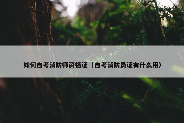 如何自考消防师资格证（自考消防员证有什么用）