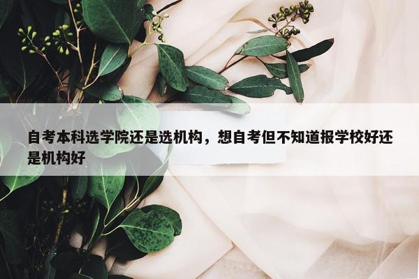 自考本科选学院还是选机构，想自考但不知道报学校好还是机构好