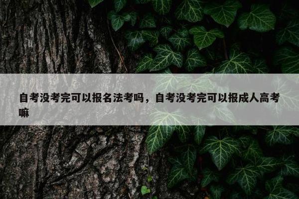 自考没考完可以报名法考吗，自考没考完可以报成人高考嘛