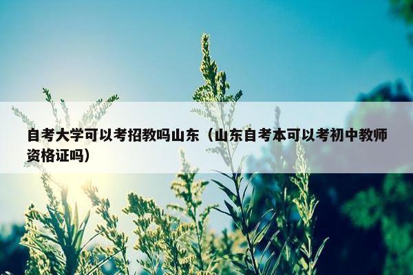 自考大学可以考招教吗山东（山东自考本可以考初中教师资格证吗）