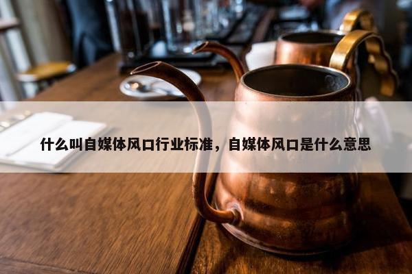 什么叫自媒体风口行业标准，自媒体风口是什么意思