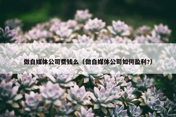 做自媒体公司费钱么（做自媒体公司如何盈利?）