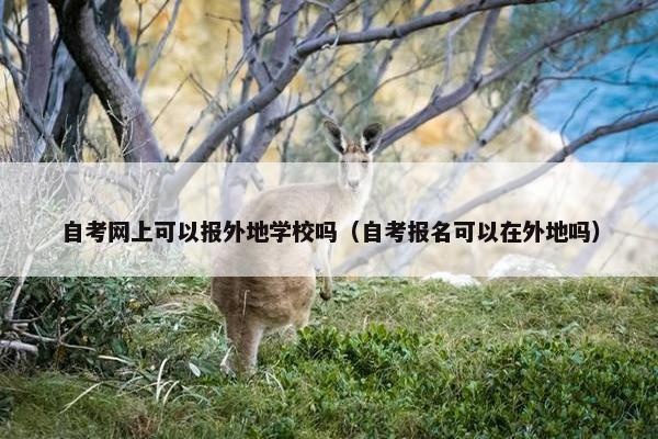 自考网上可以报外地学校吗（自考报名可以在外地吗）