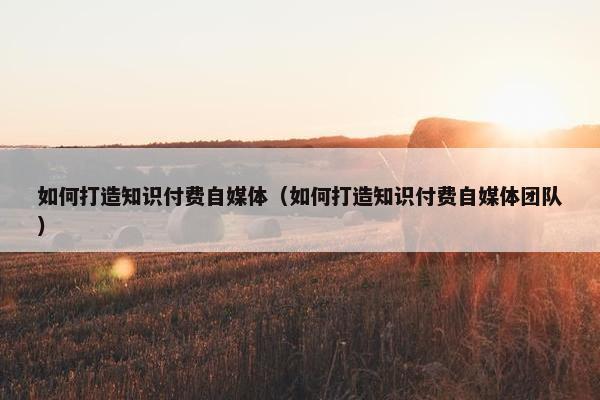 如何打造知识付费自媒体（如何打造知识付费自媒体团队）