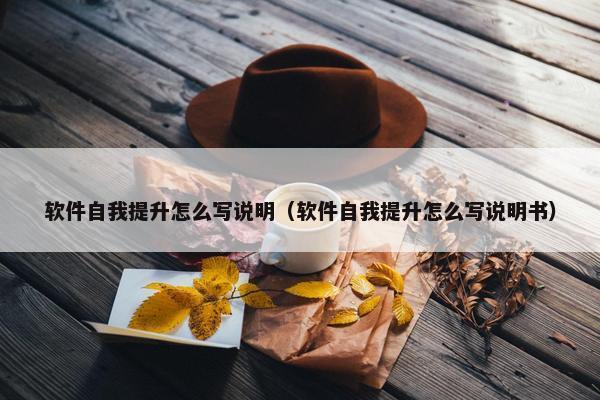 软件自我提升怎么写说明（软件自我提升怎么写说明书）