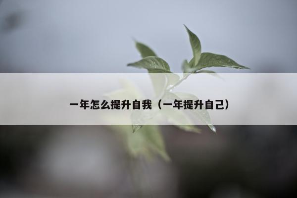 一年怎么提升自我（一年提升自己）