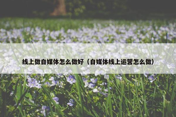 线上做自媒体怎么做好（自媒体线上运营怎么做）