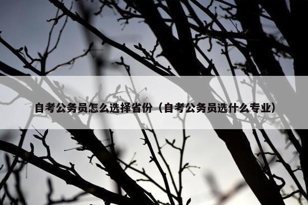 自考公务员怎么选择省份（自考公务员选什么专业）