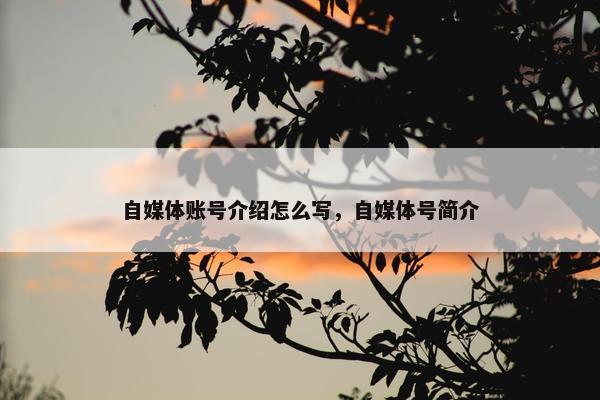 自媒体账号介绍怎么写，自媒体号简介