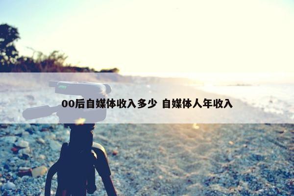 00后自媒体收入多少 自媒体人年收入