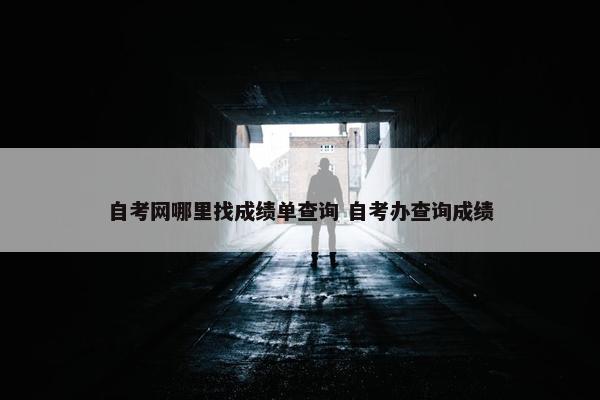 自考网哪里找成绩单查询 自考办查询成绩