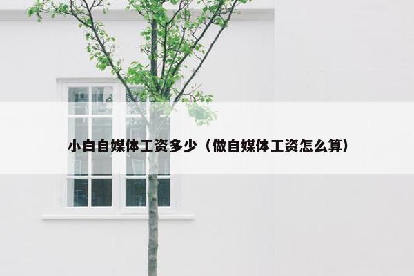 小白自媒体工资多少（做自媒体工资怎么算）