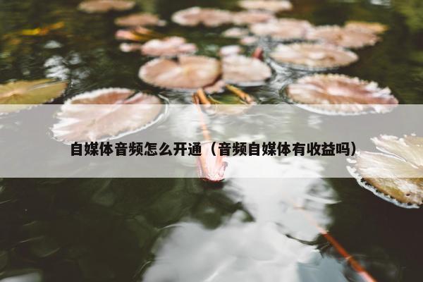 自媒体音频怎么开通（音频自媒体有收益吗）