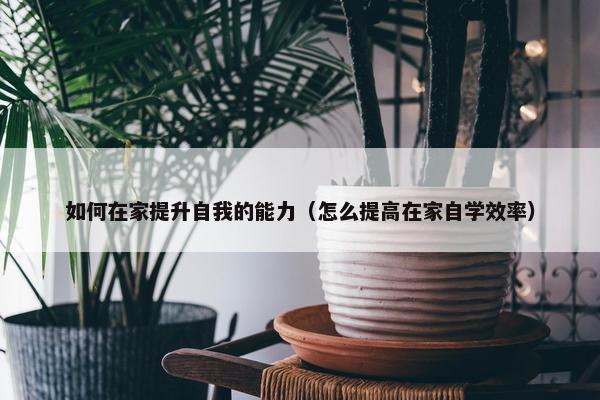 如何在家提升自我的能力（怎么提高在家自学效率）