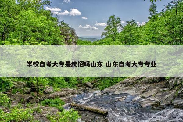 学校自考大专是统招吗山东 山东自考大专专业