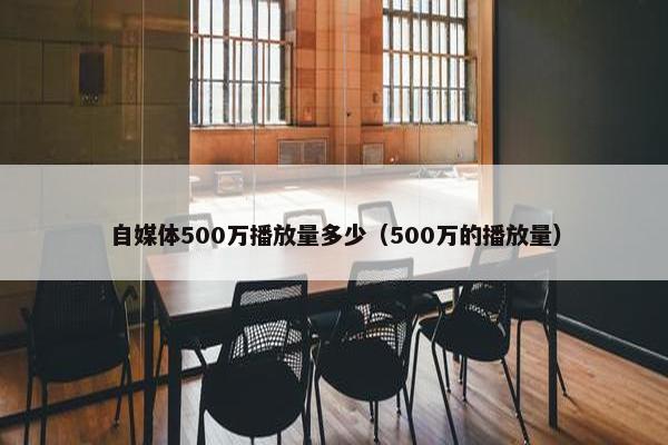 自媒体500万播放量多少（500万的播放量）