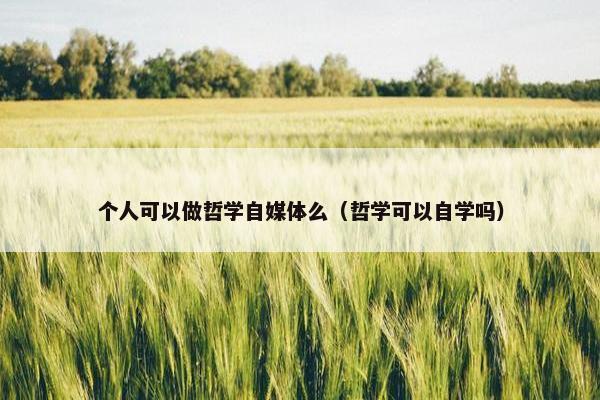 个人可以做哲学自媒体么（哲学可以自学吗）