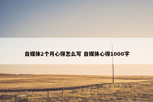 自媒体2个月心得怎么写 自媒体心得1000字