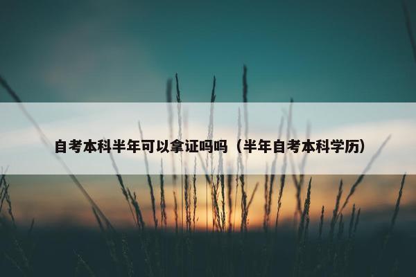 自考本科半年可以拿证吗吗（半年自考本科学历）