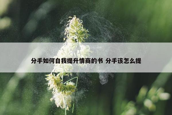 分手如何自我提升情商的书 分手该怎么提