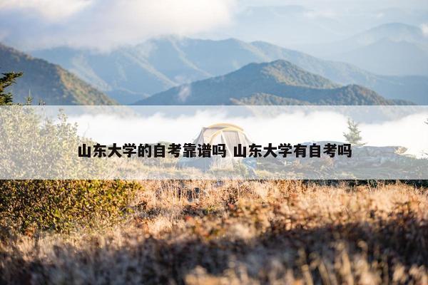 山东大学的自考靠谱吗 山东大学有自考吗