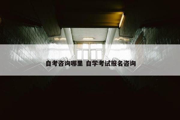 自考咨询哪里 自学考试报名咨询