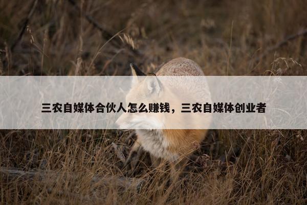 三农自媒体合伙人怎么赚钱，三农自媒体创业者