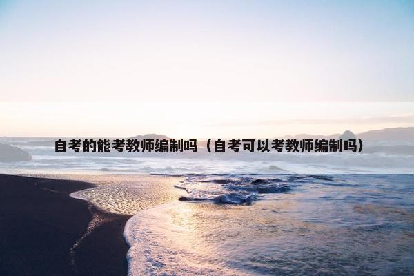 自考的能考教师编制吗（自考可以考教师编制吗）