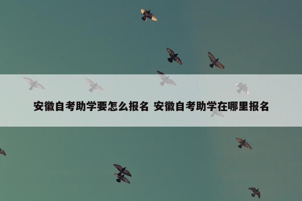 安徽自考助学要怎么报名 安徽自考助学在哪里报名