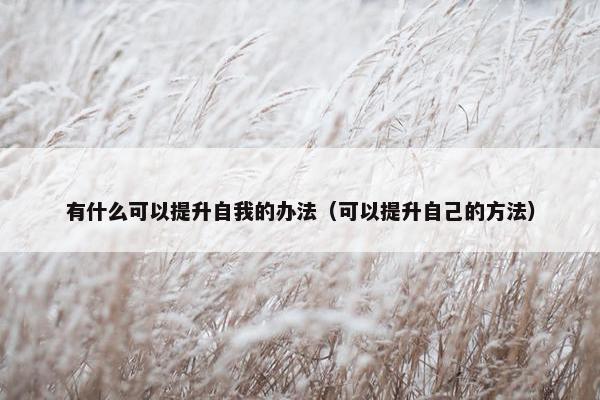 有什么可以提升自我的办法（可以提升自己的方法）