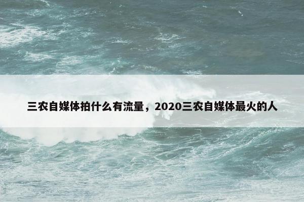 三农自媒体拍什么有流量，2020三农自媒体最火的人