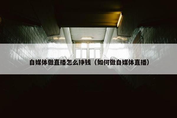 自媒体做直播怎么挣钱（如何做自媒体直播）