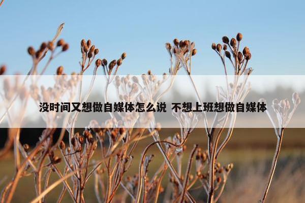 没时间又想做自媒体怎么说 不想上班想做自媒体