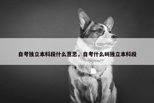 自考独立本科段什么意思，自考什么叫独立本科段