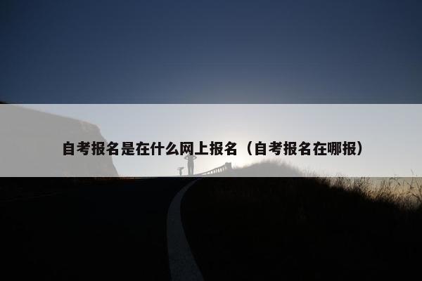 自考报名是在什么网上报名（自考报名在哪报）