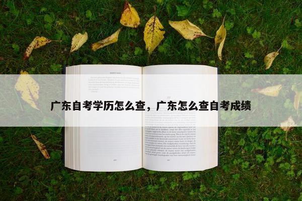 广东自考学历怎么查，广东怎么查自考成绩