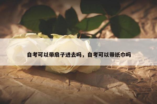 自考可以带扇子进去吗，自考可以带纸巾吗