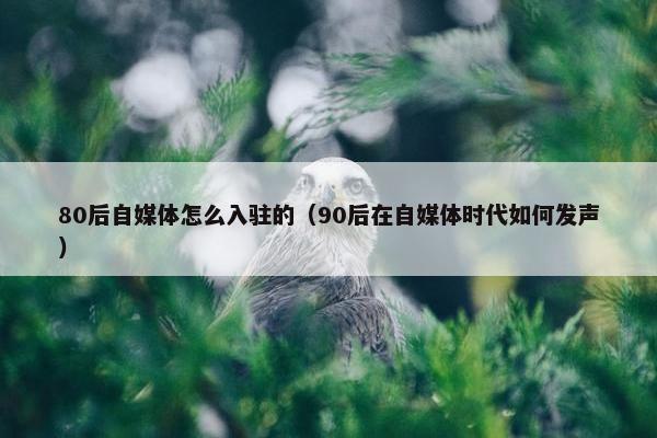 80后自媒体怎么入驻的（90后在自媒体时代如何发声）