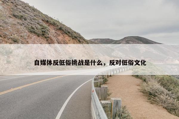 自媒体反低俗挑战是什么，反对低俗文化