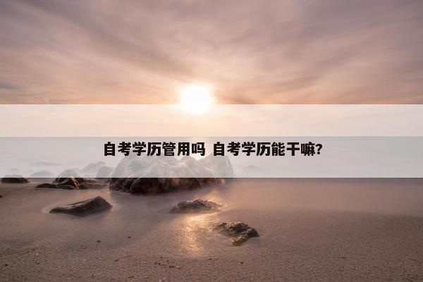 自考学历管用吗 自考学历能干嘛?