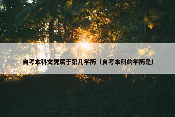 自考本科文凭属于第几学历（自考本科的学历是）