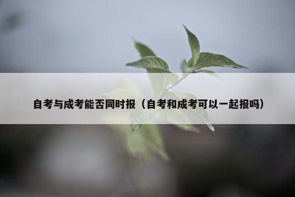 自考与成考能否同时报（自考和成考可以一起报吗）