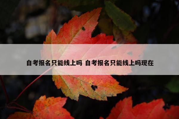 自考报名只能线上吗 自考报名只能线上吗现在