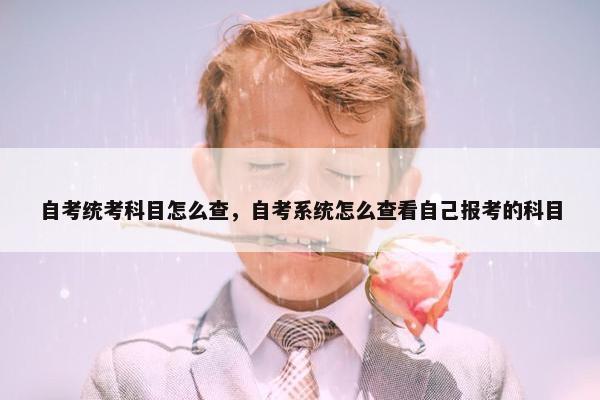 自考统考科目怎么查，自考系统怎么查看自己报考的科目