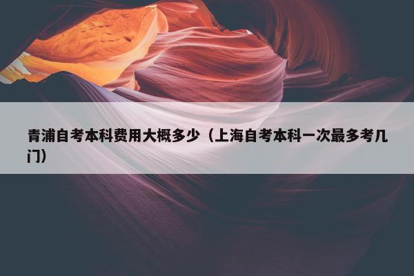 青浦自考本科费用大概多少（上海自考本科一次最多考几门）