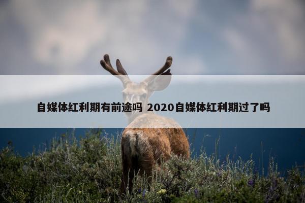 自媒体红利期有前途吗 2020自媒体红利期过了吗