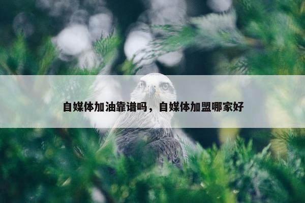 自媒体加油靠谱吗，自媒体加盟哪家好