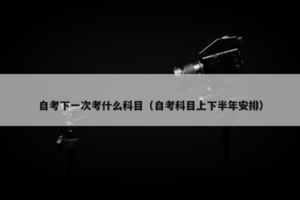 自考下一次考什么科目（自考科目上下半年安排）