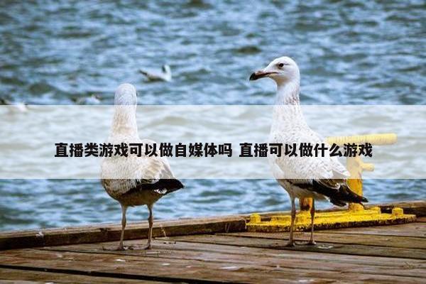 直播类游戏可以做自媒体吗 直播可以做什么游戏