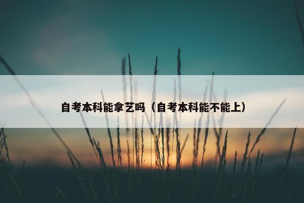 自考本科能拿艺吗（自考本科能不能上）